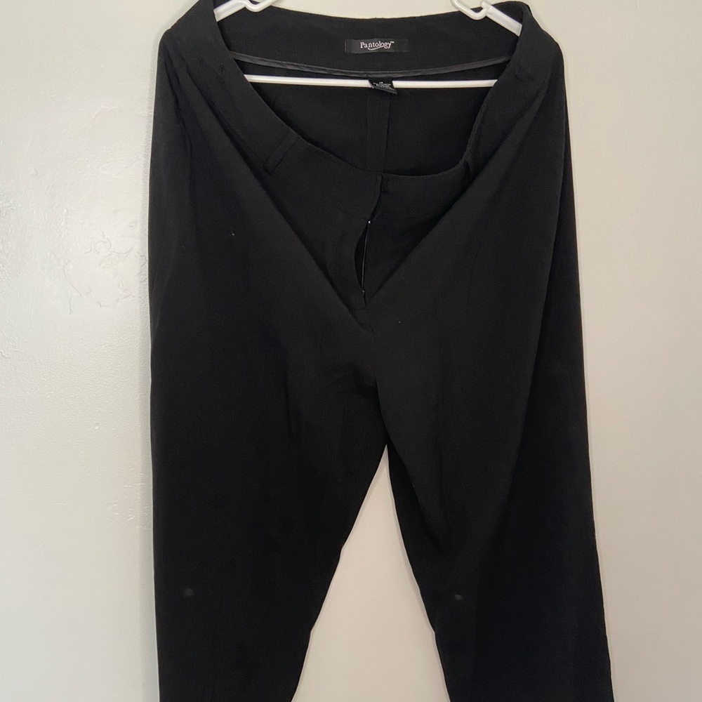 Pantology Womens Work/Office Pants
